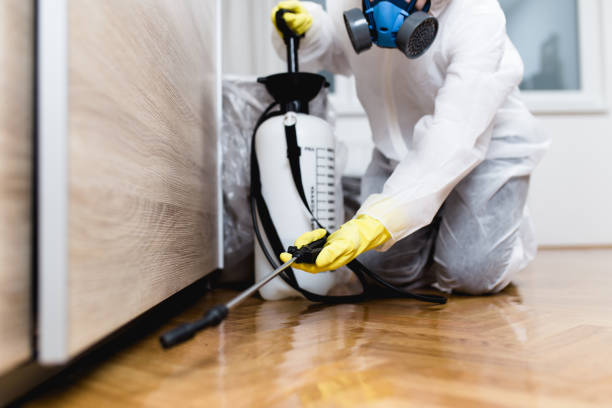 Helena Flats, MT Pest Control Company