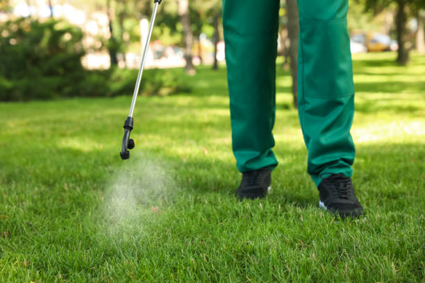 Best Local Pest Control Services  in Helena Flats, MT