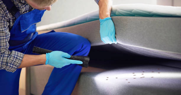 Best Commercial Pest Control Services  in Helena Flats, MT